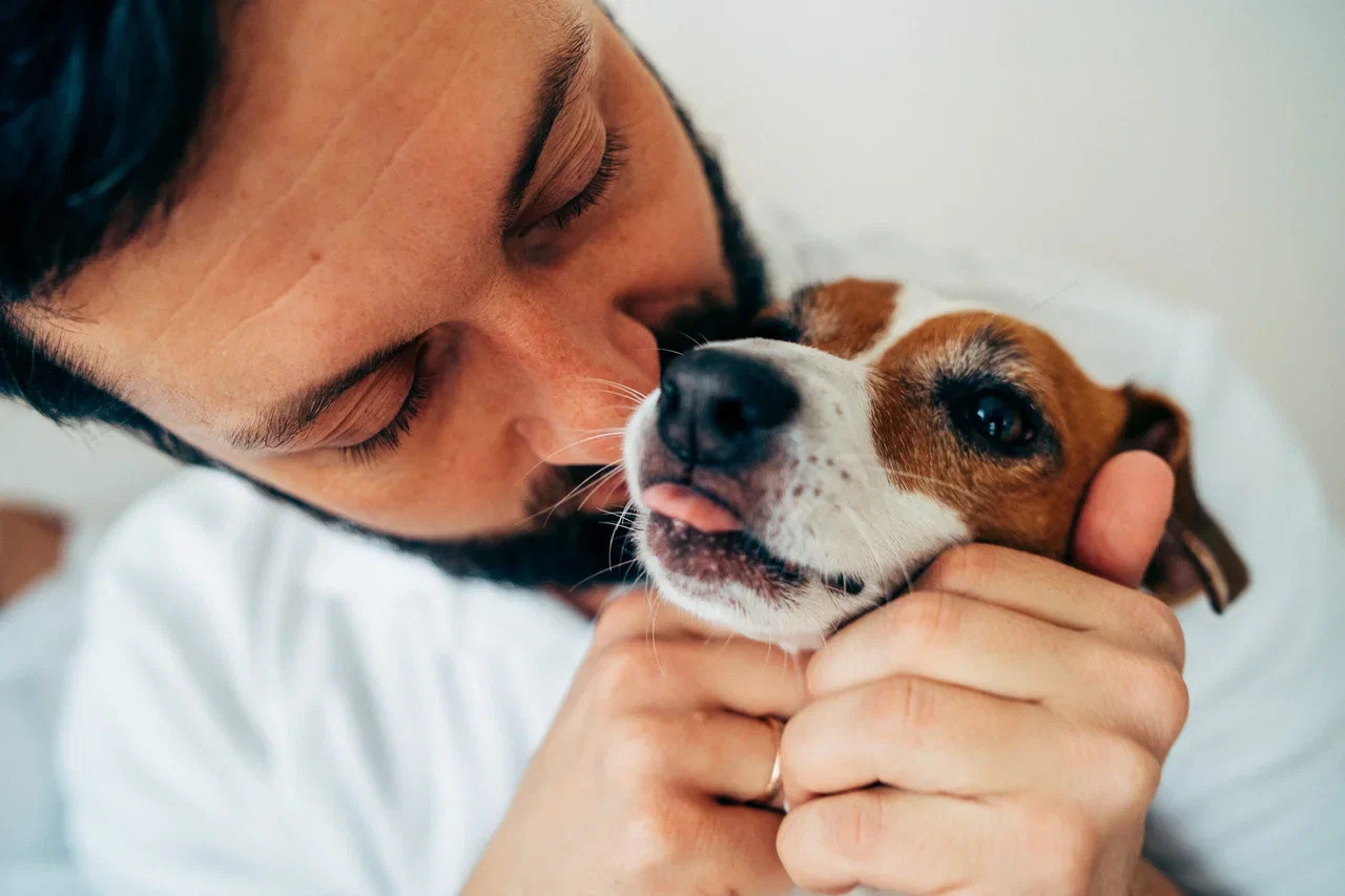 ДОМАШНЕЕ УТРО. Миша Снимет | твой фотограф