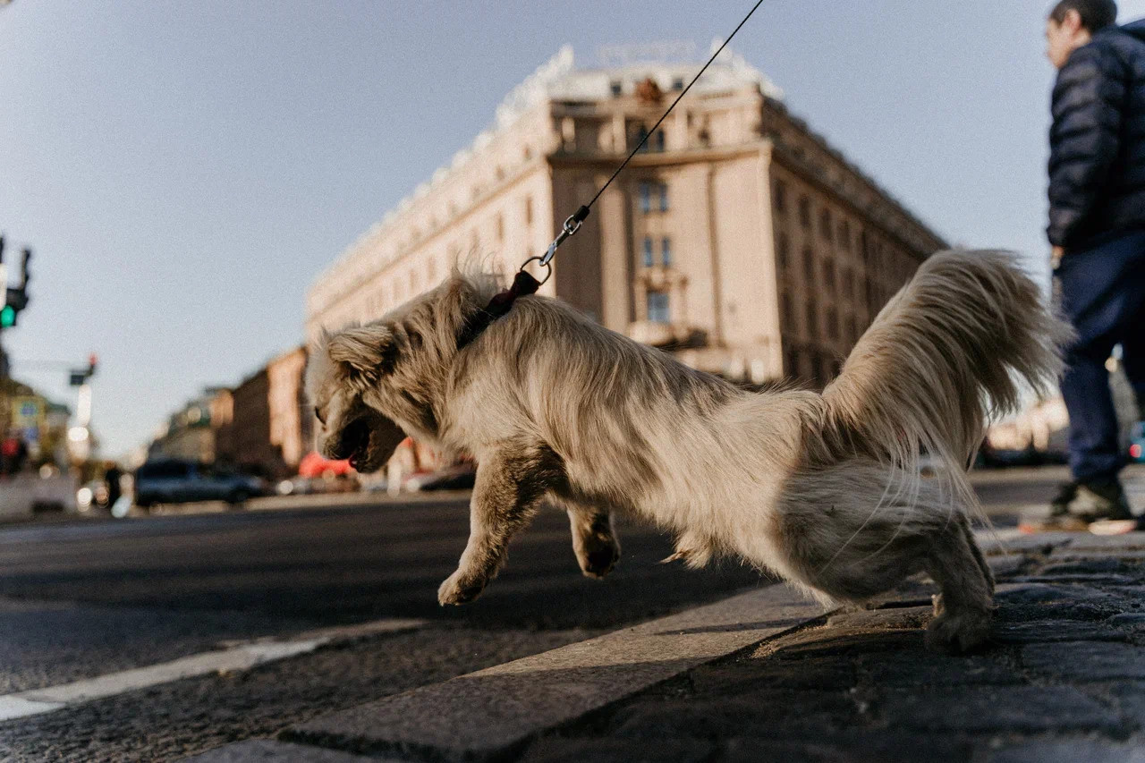 В САМОЕ СЕРДЦЕ. Миша Снимет | твой фотограф