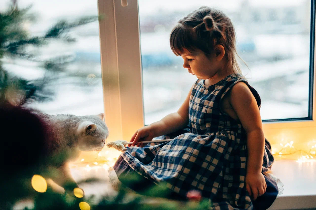 6 КОТОВ. Миша Снимет | твой фотограф