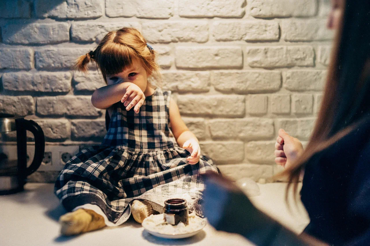 6 КОТОВ. Миша Снимет | твой фотограф