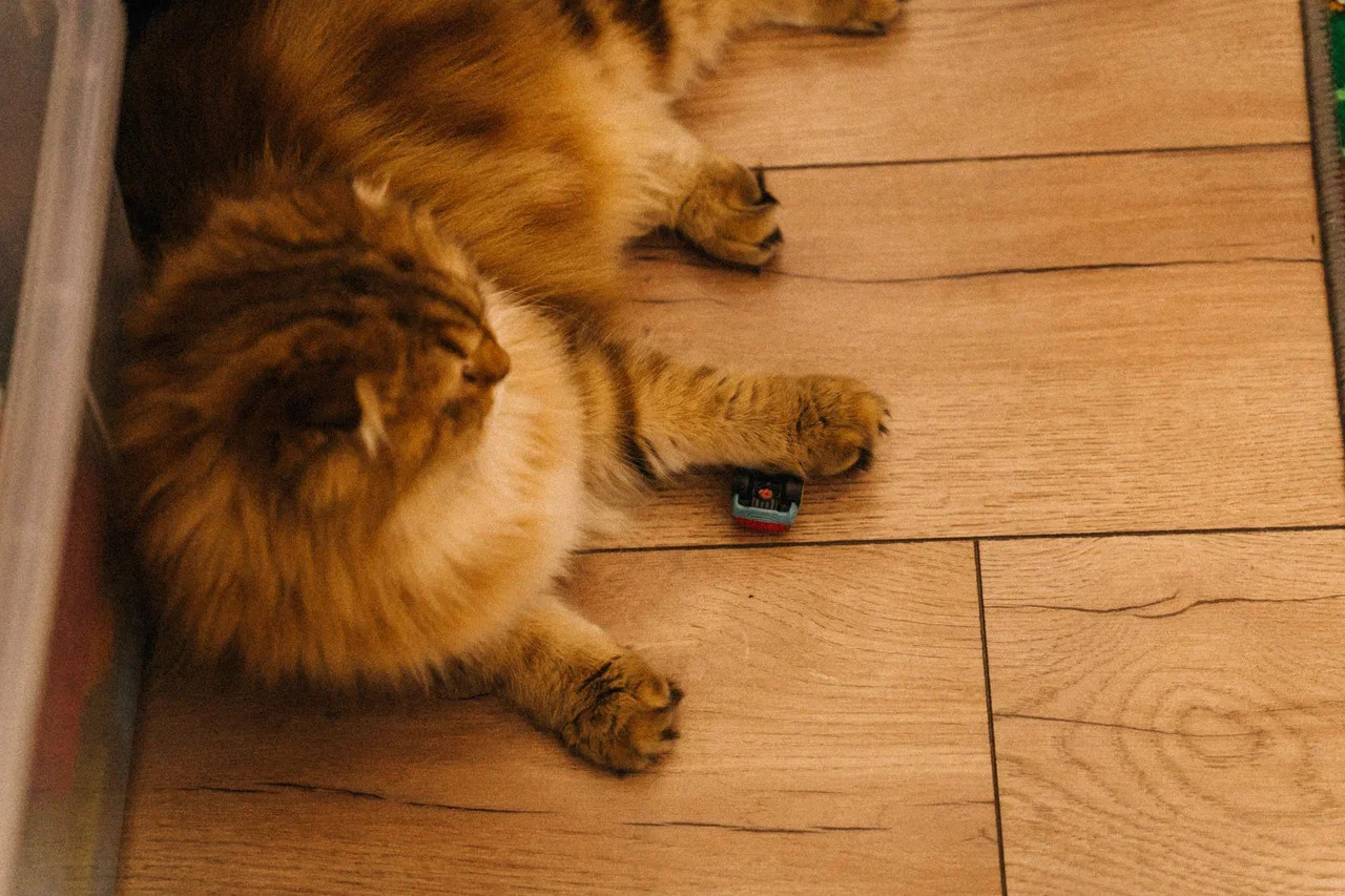 Детский день рождения. Миша Снимет | твой фотограф