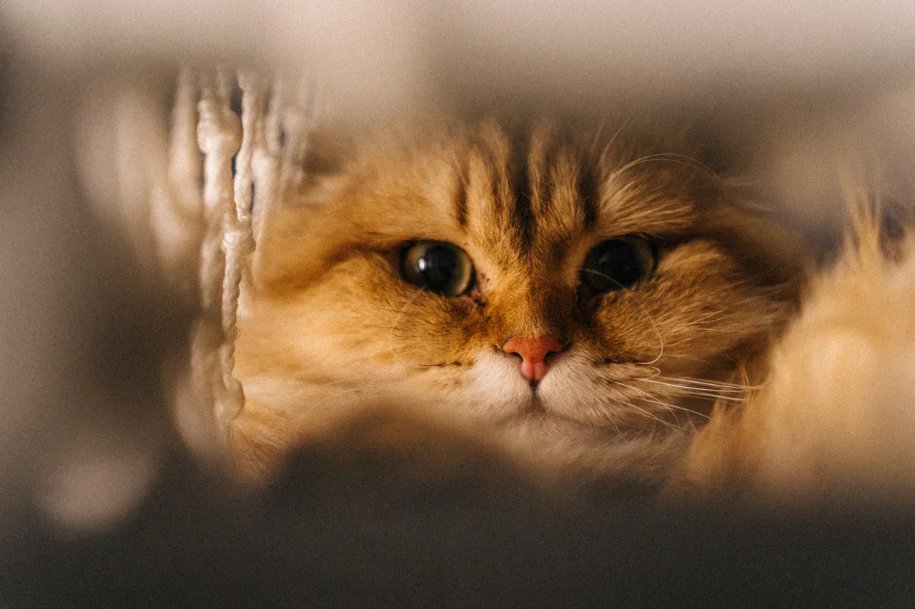 Детский день рождения. Миша Снимет | твой фотограф