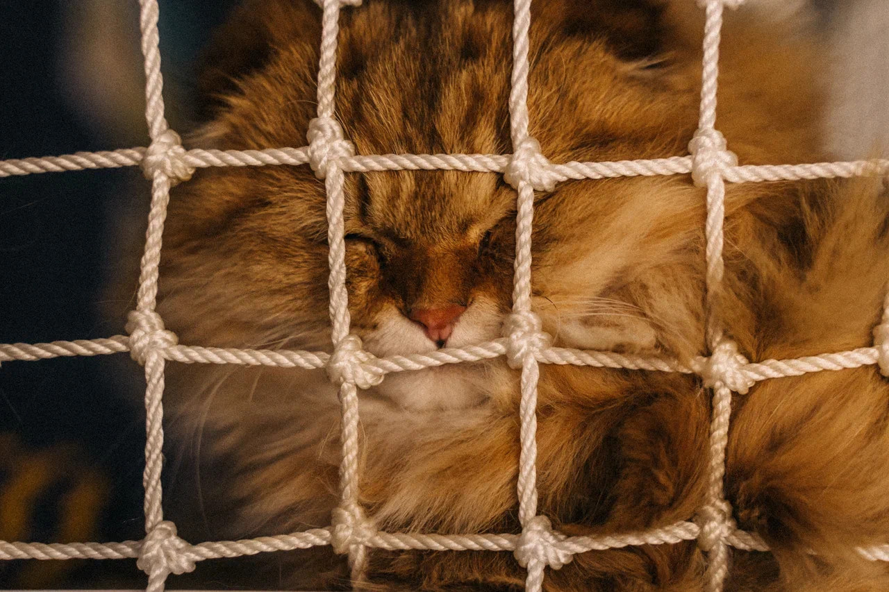 Детский день рождения. Миша Снимет | твой фотограф