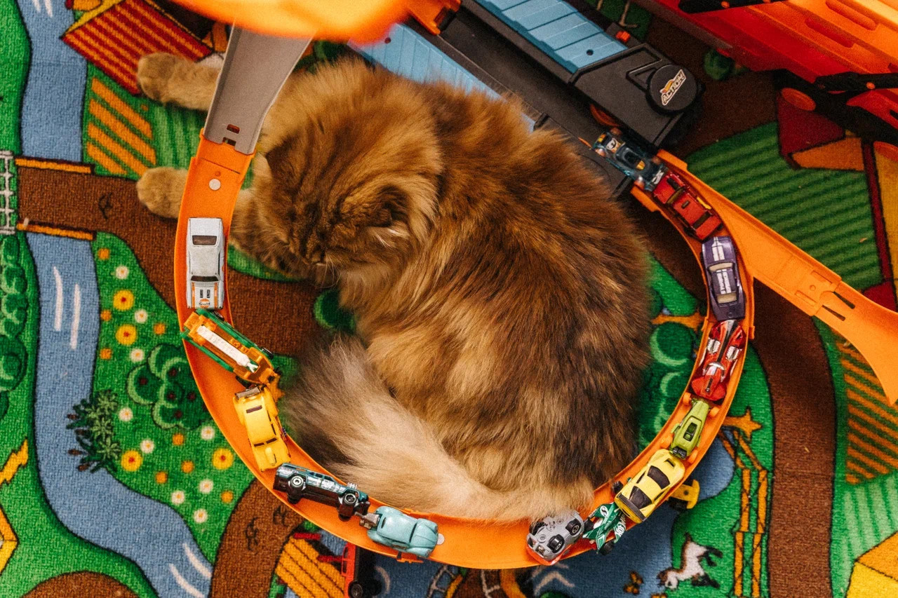 Детский день рождения. Миша Снимет | твой фотограф