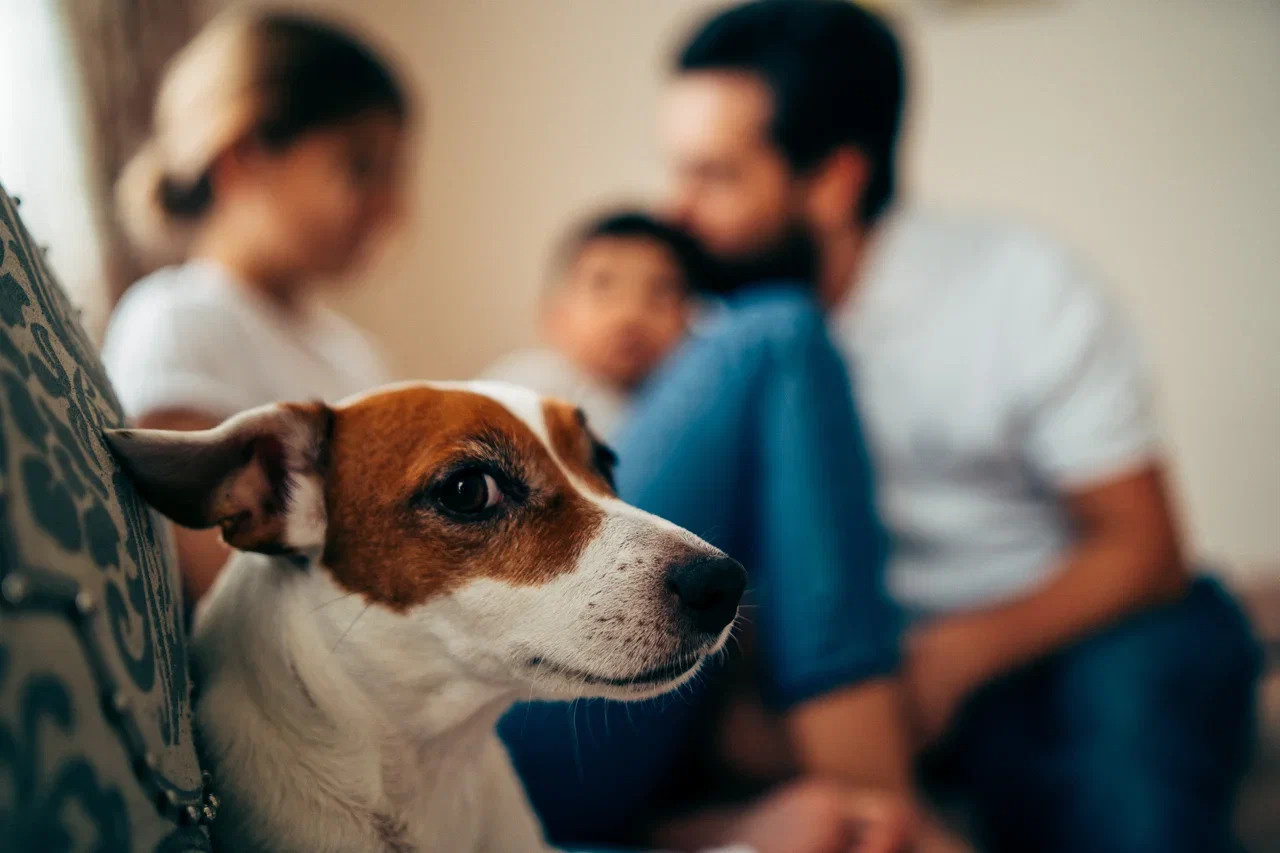 ДОМАШНЕЕ УТРО. Миша Снимет | твой фотограф