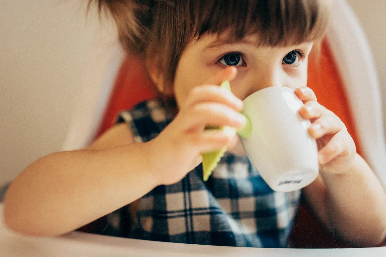 6 КОТОВ. Миша Снимет | твой фотограф