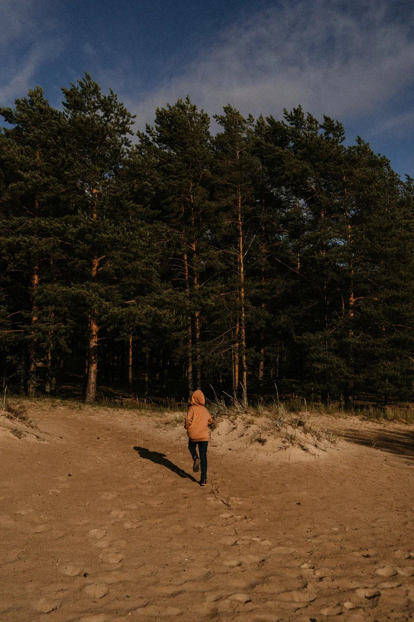 ОРАНЖЕВОЕ СОЛНЦЕ. Миша Снимет | твой фотограф