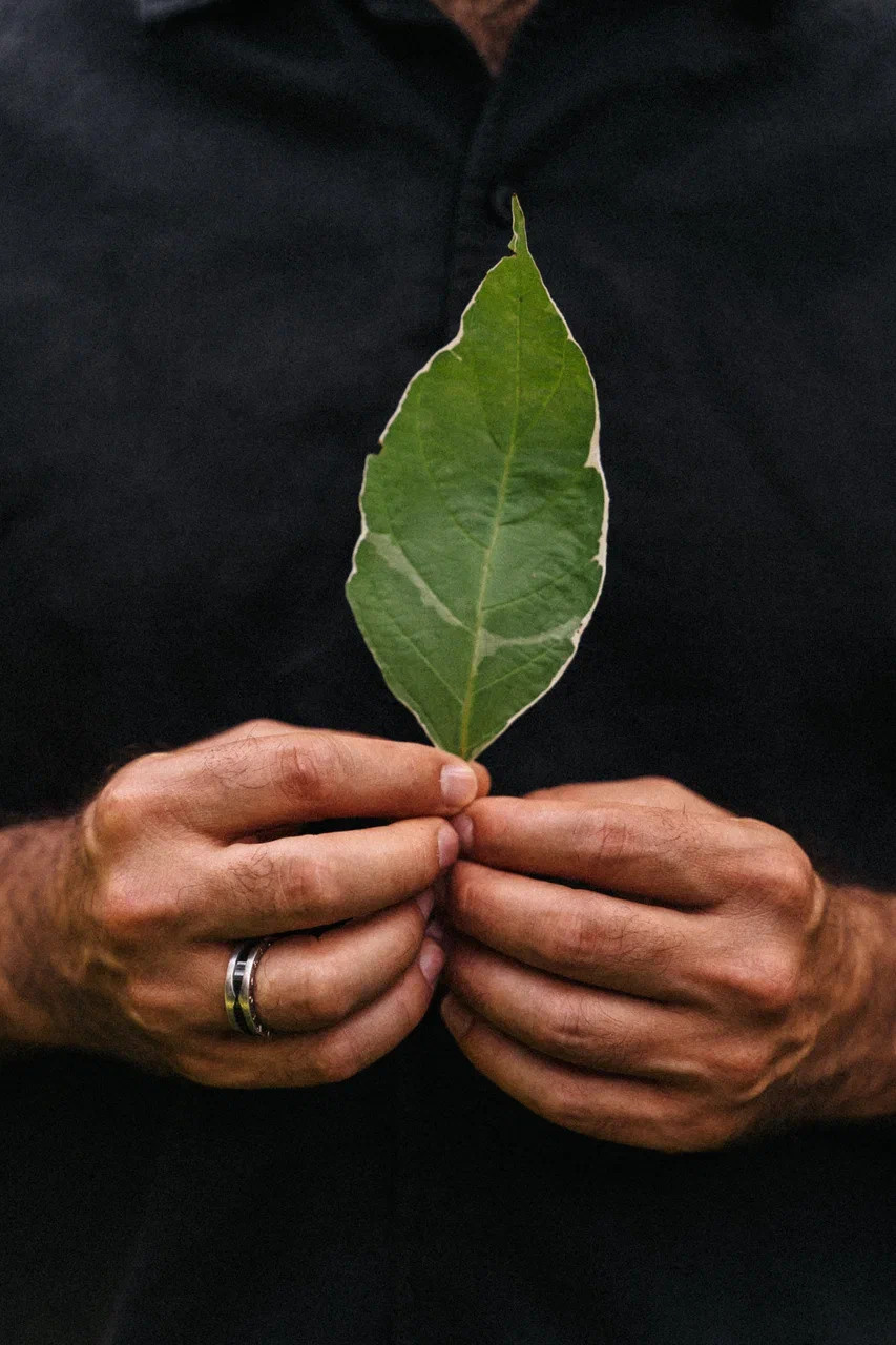 ВЕЧЕРОК НА ДАЧЕ. Миша Снимет | твой фотограф