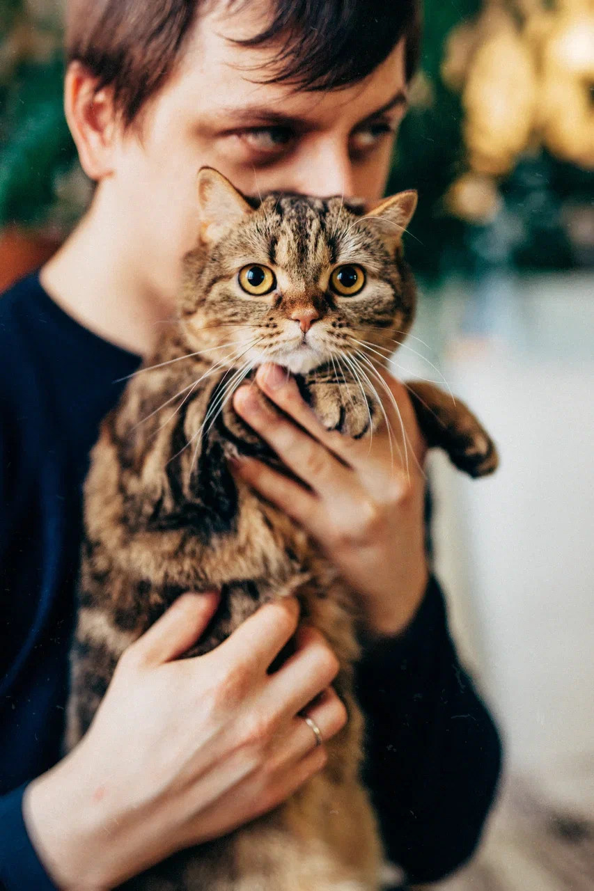 6 КОТОВ. Миша Снимет | твой фотограф