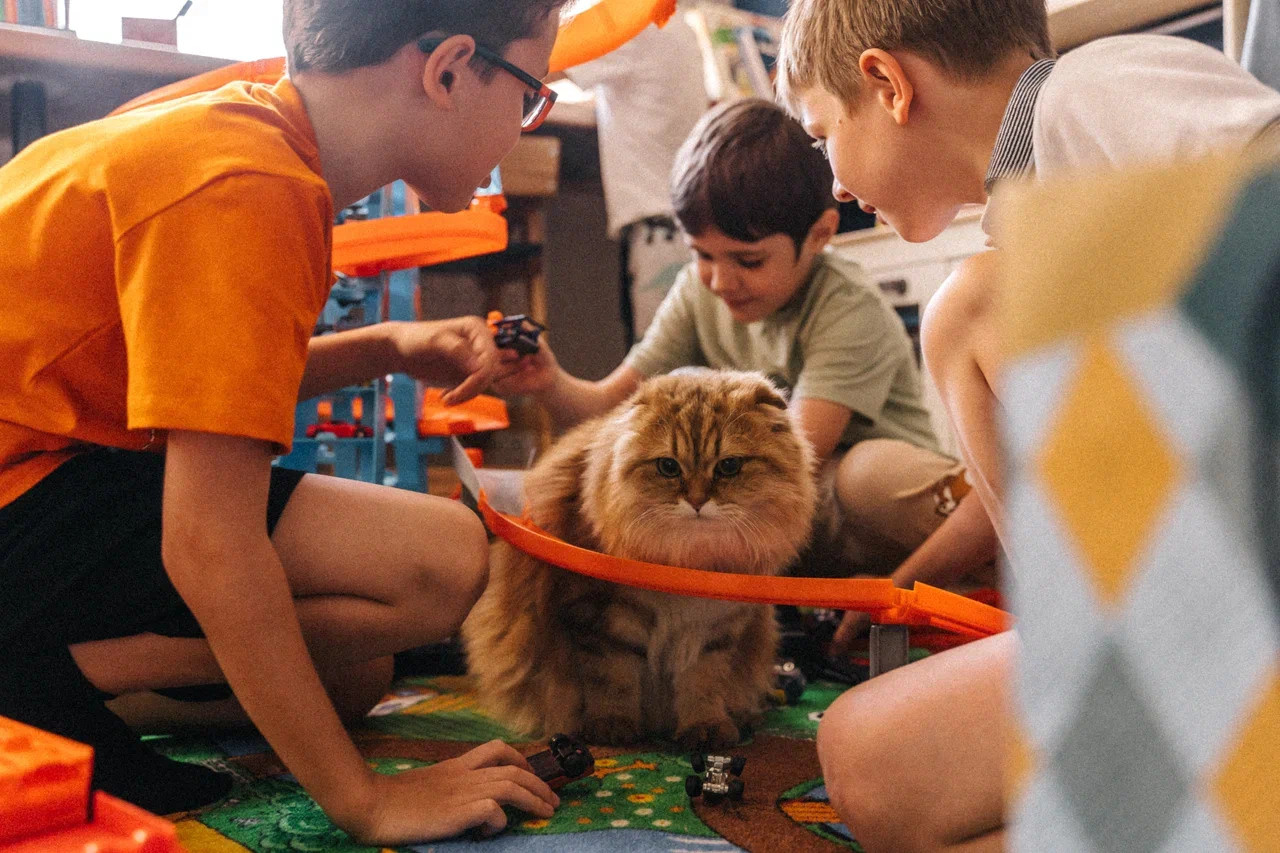 Детский день рождения. Миша Снимет | твой фотограф