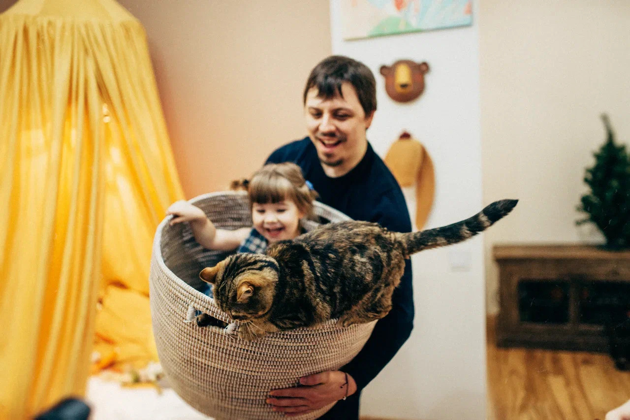 6 КОТОВ. Миша Снимет | твой фотограф