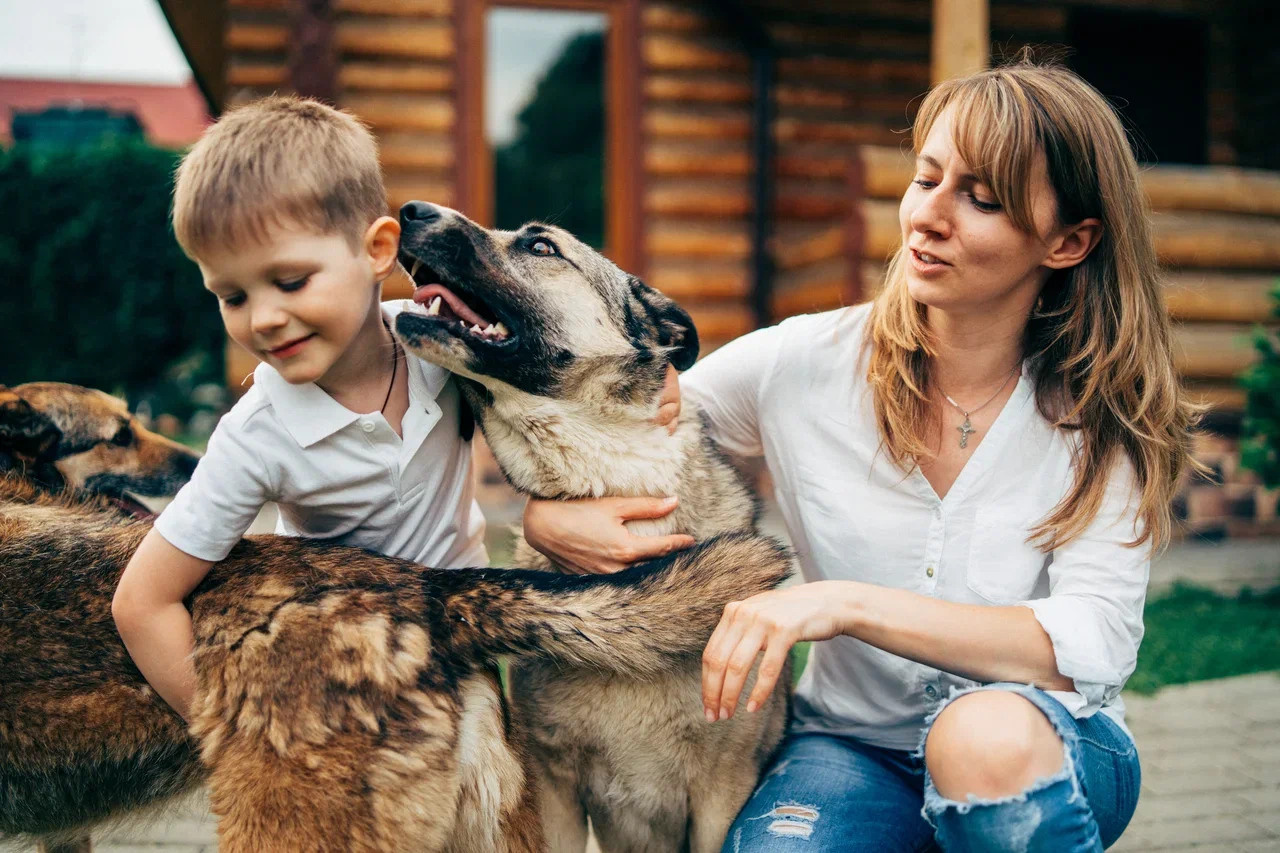 Дом на краю солнца. Миша Снимет | твой фотограф