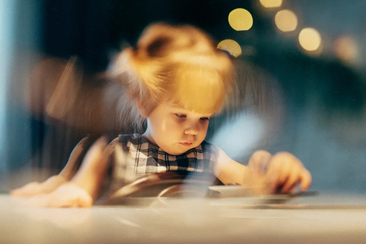 6 КОТОВ. Миша Снимет | твой фотограф