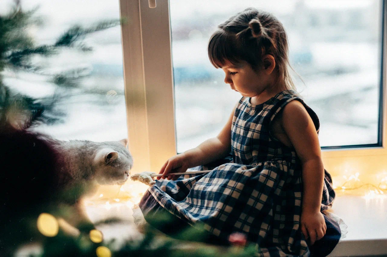 6 КОТОВ. Миша Снимет | твой фотограф