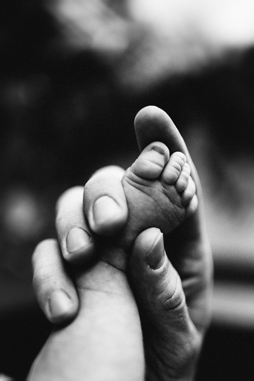 МАЛЫШКА ЭМИ. Миша Снимет | твой фотограф