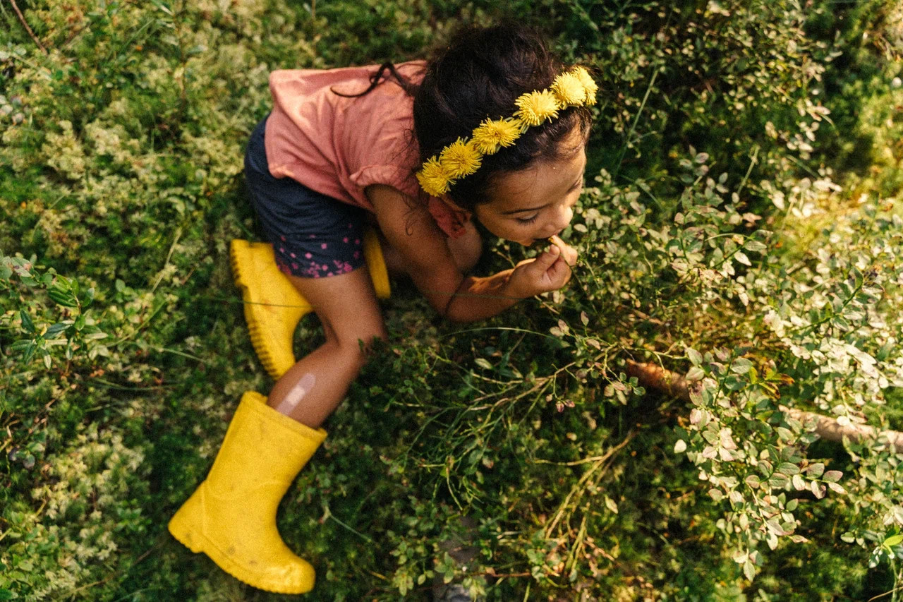ВЕЧЕРОК НА ДАЧЕ. Миша Снимет | твой фотограф