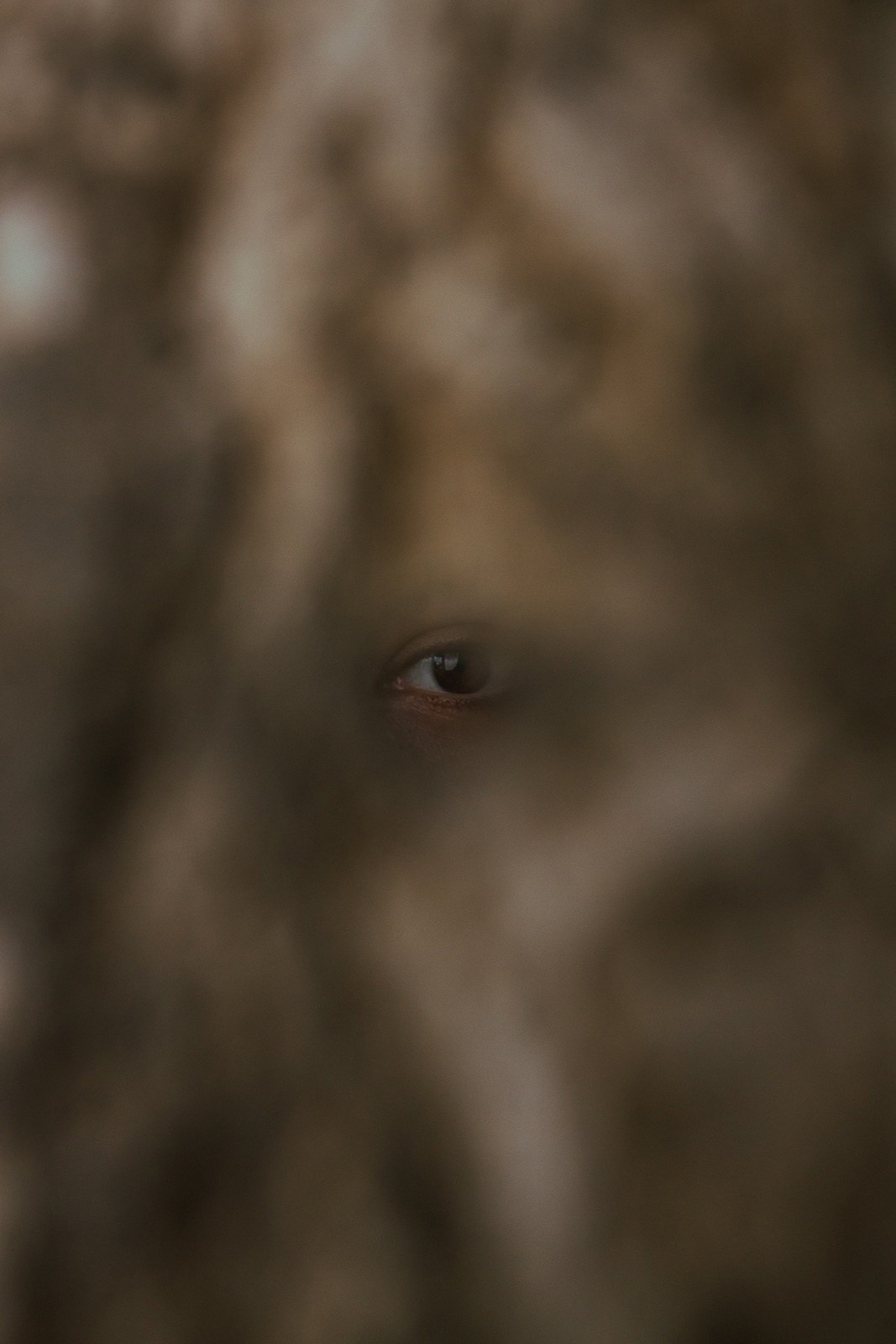 Борщевская Елизавета / фотограф Иркутск