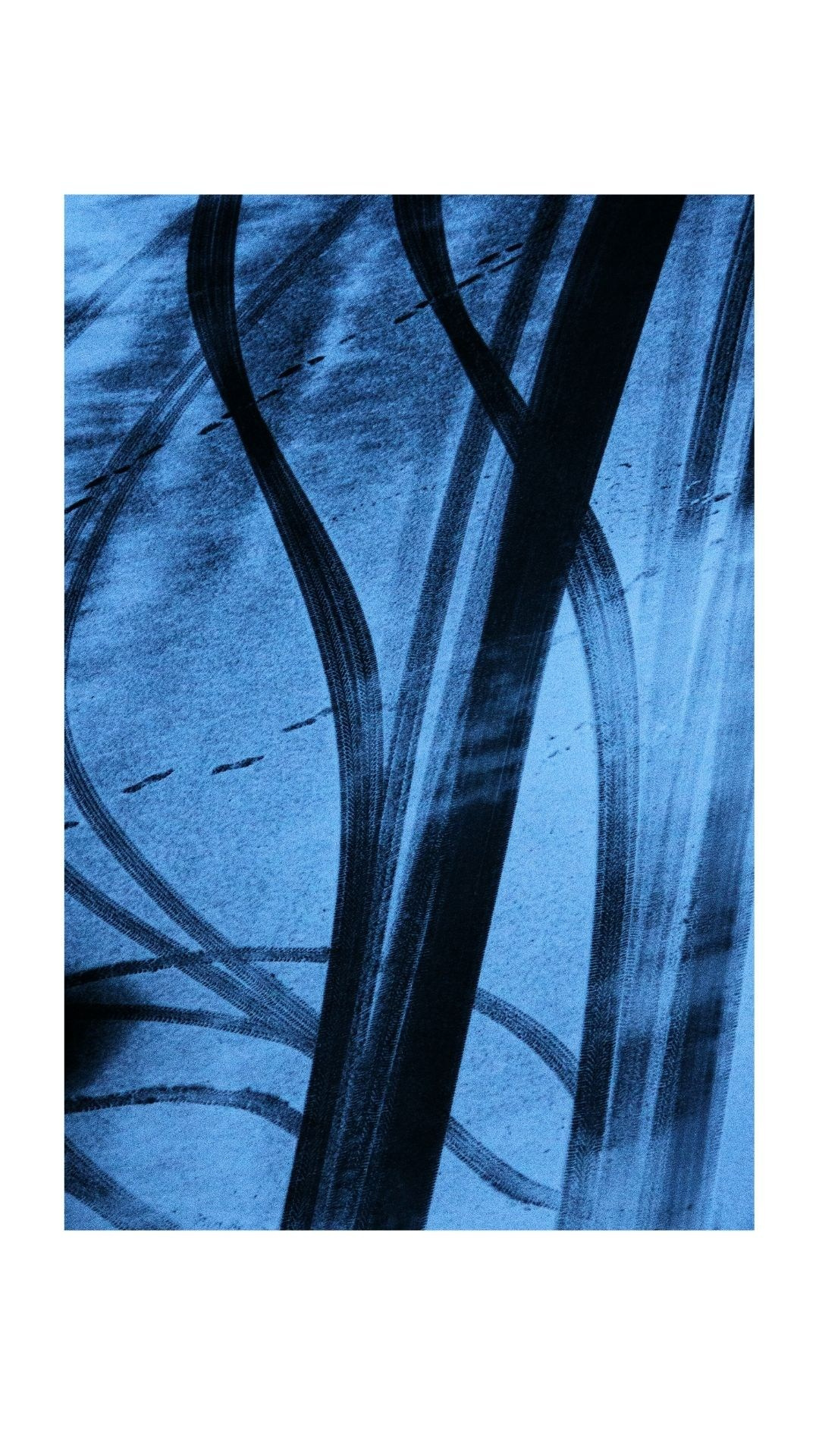 «Не выходя из дома». Главная