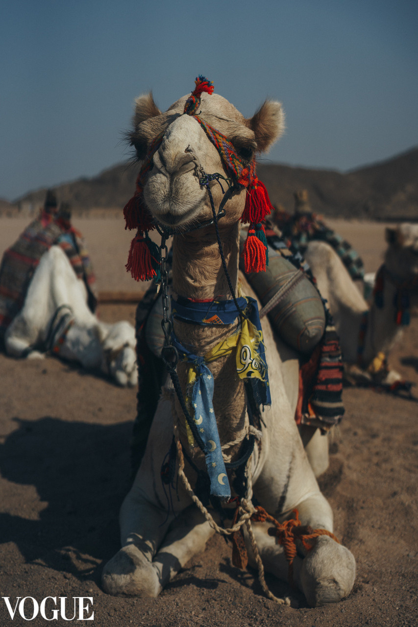 Vogue. Портретный фотограф в Самаре Анна Силютина