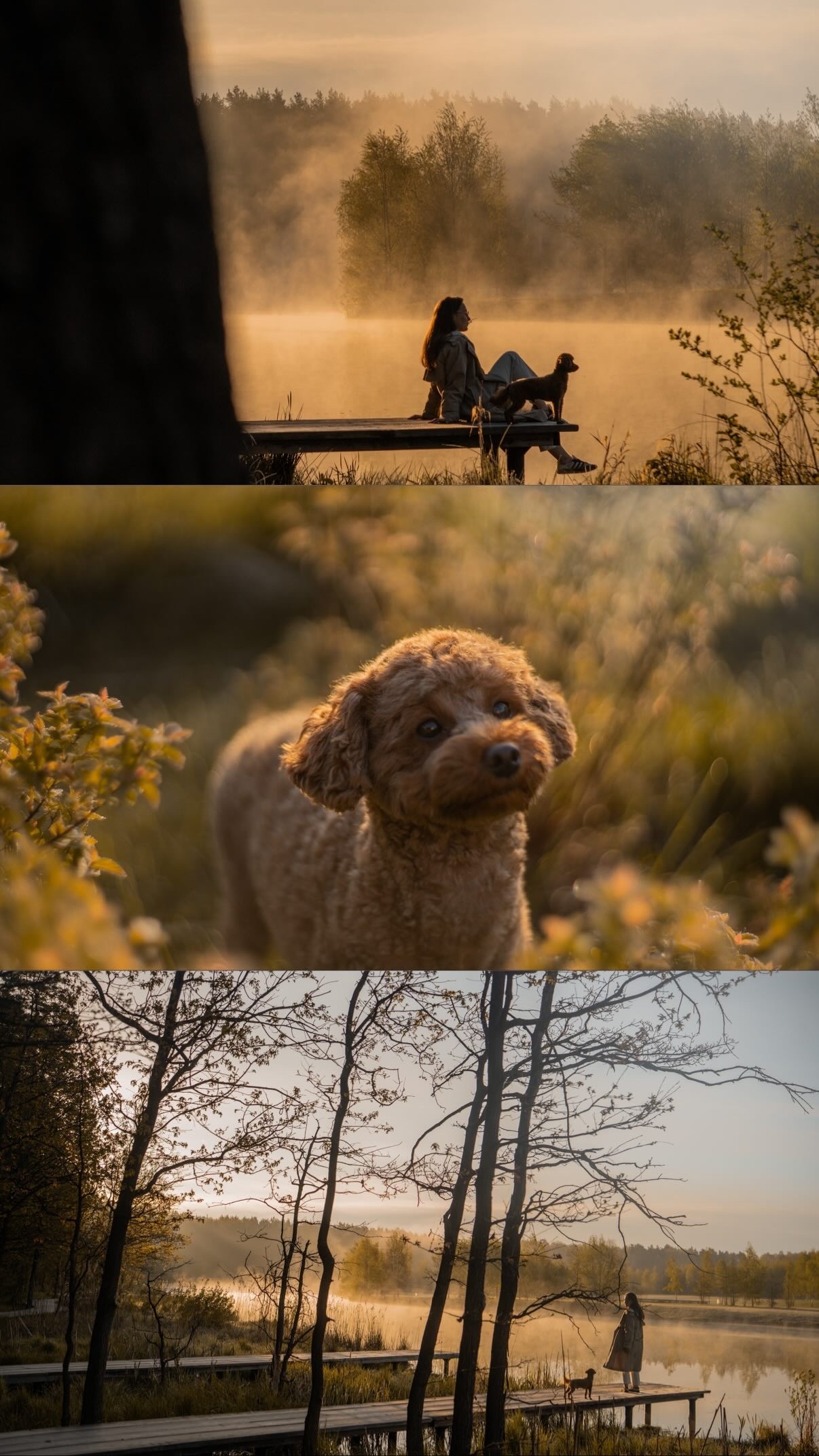 Лия и Чарли. Фотограф анималист в Москве и Санкт-Петербурге Свиридова Анна