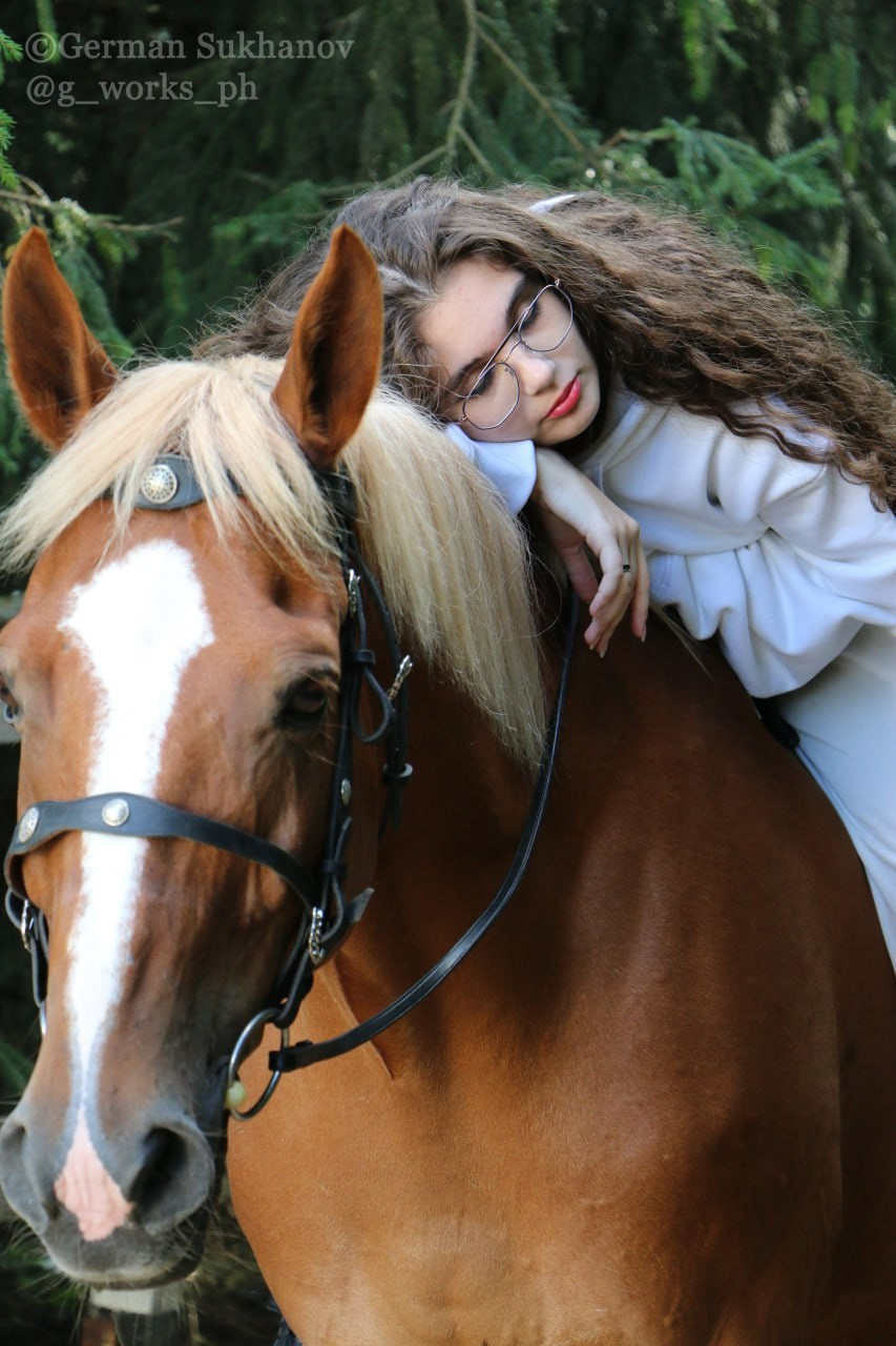 Horses. AVE CONCEPT by German S
