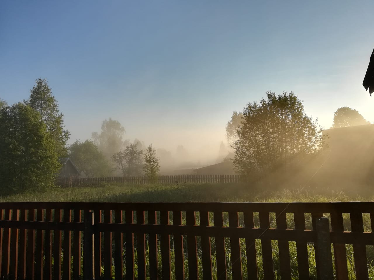 Автор: Екатерина Алхазашвили