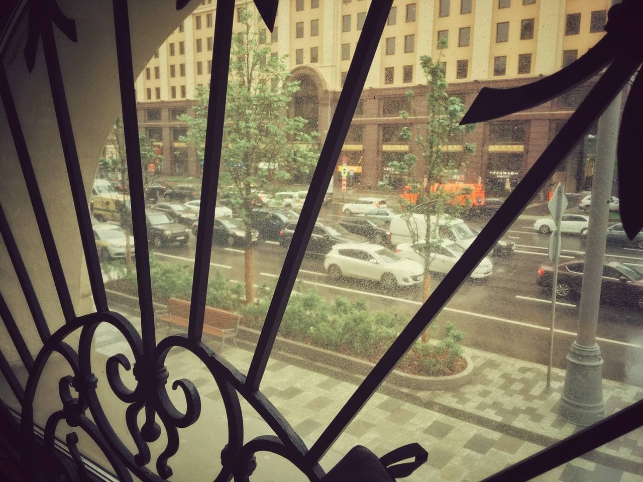 Автор: Евгения Полонская