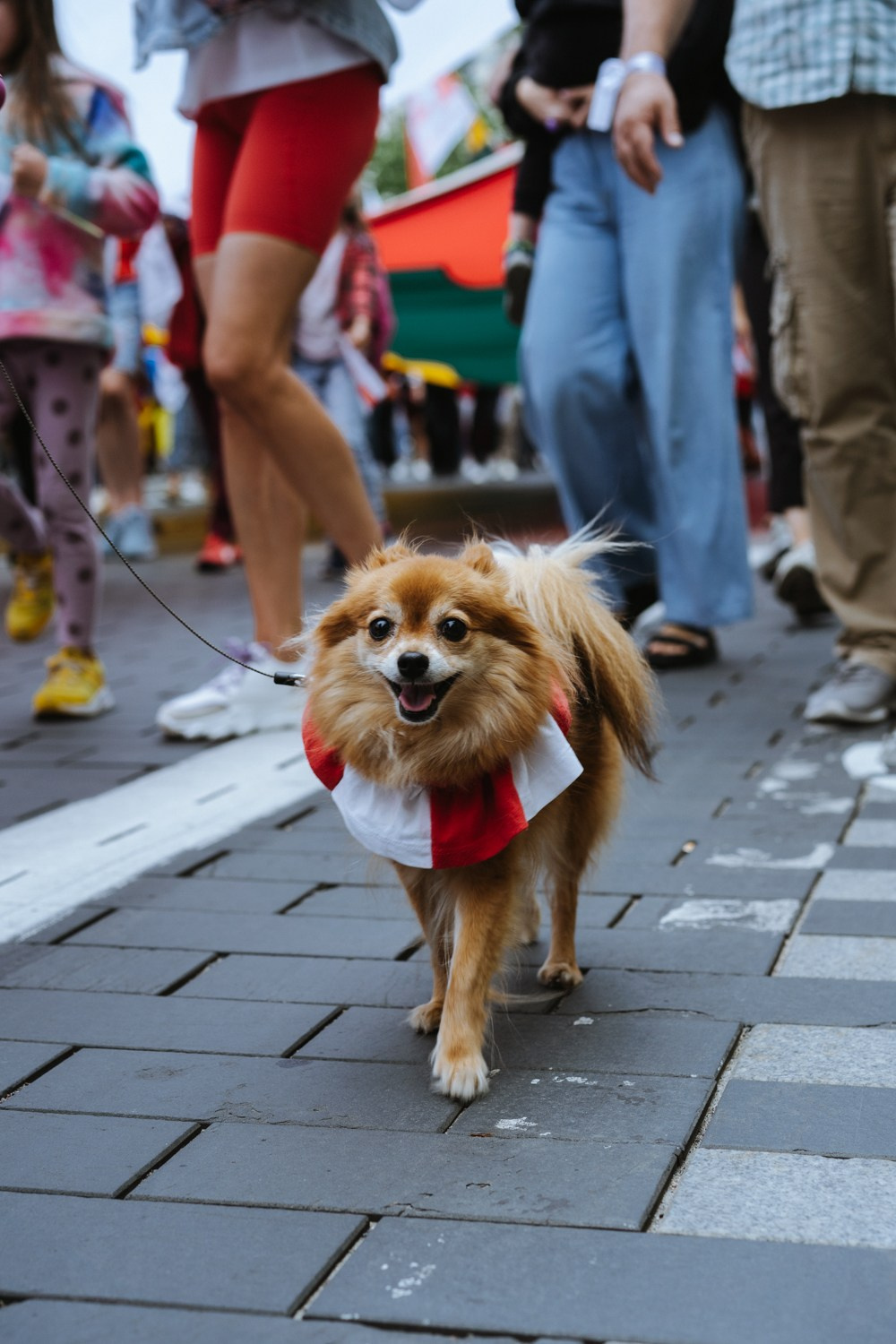 09.08.2023. Photographer in Vilnius