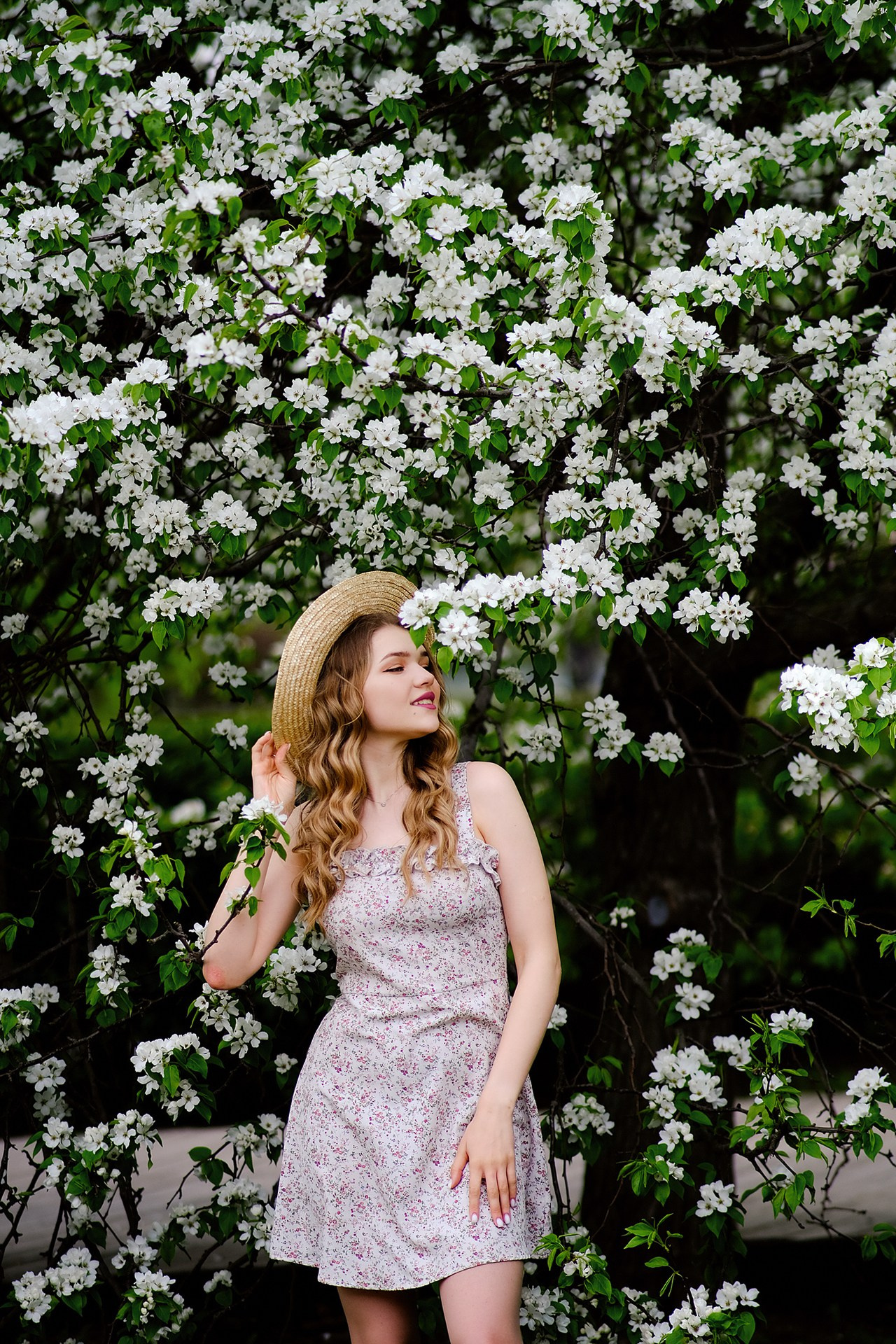 Alena. Свадебный и семейный фотограф Ксения Тараканова г. Иваново