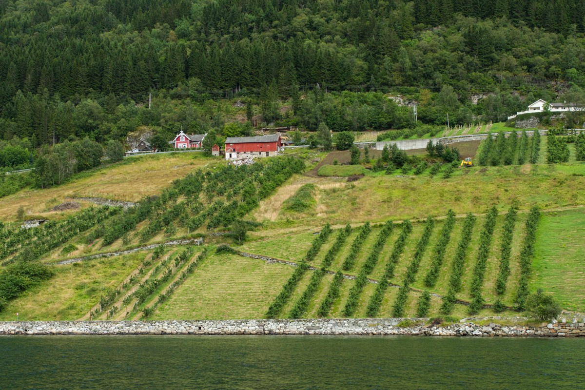 07/17. Норвегия. Walk&Fly with Batay