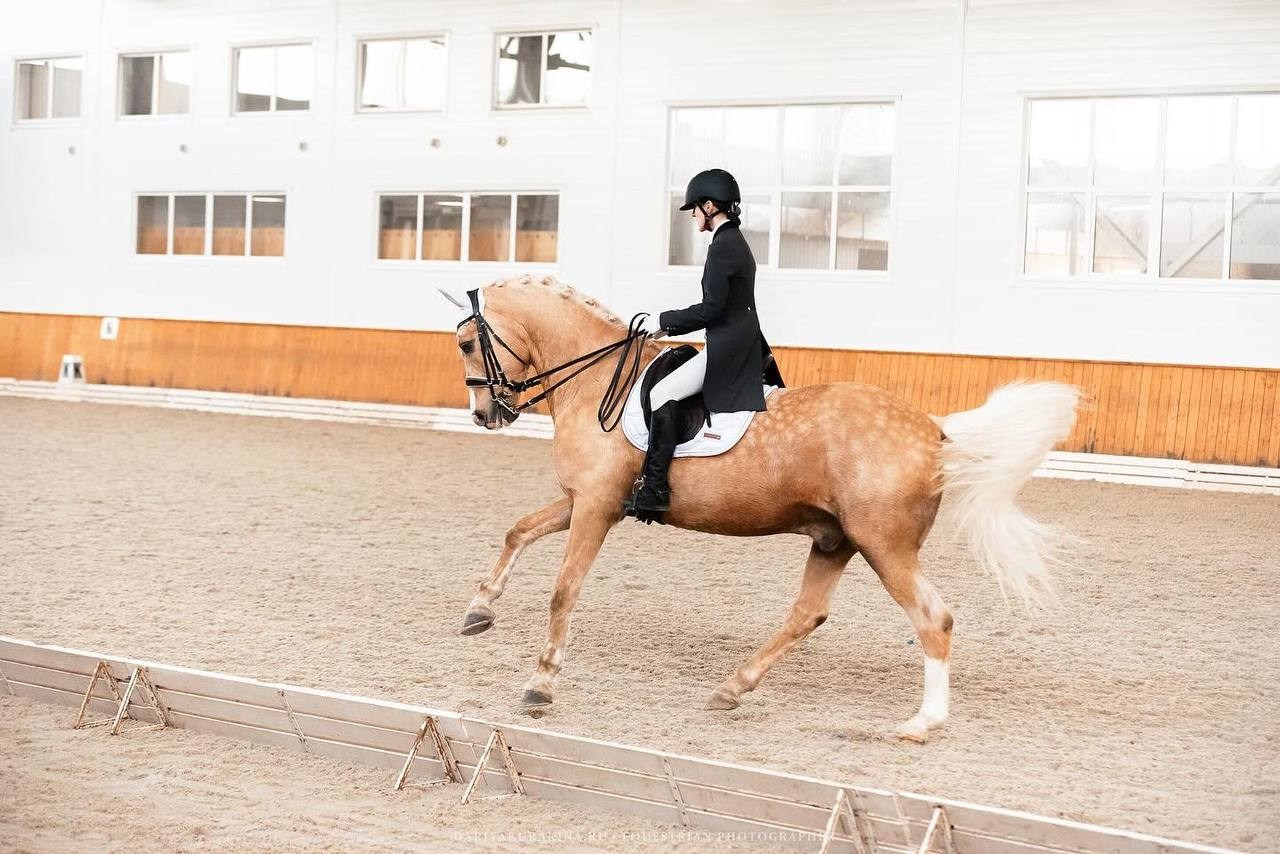 Открытые соревнования по выездке в КСК «Конкорд». Конный фотограф Куракина Дарья • Фотосессии с лошадьми