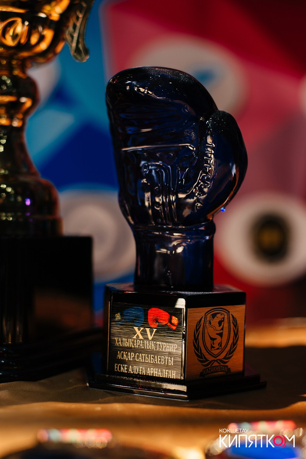 Турнир по боксу. КИПЯТКОМ КОКШЕТАУ