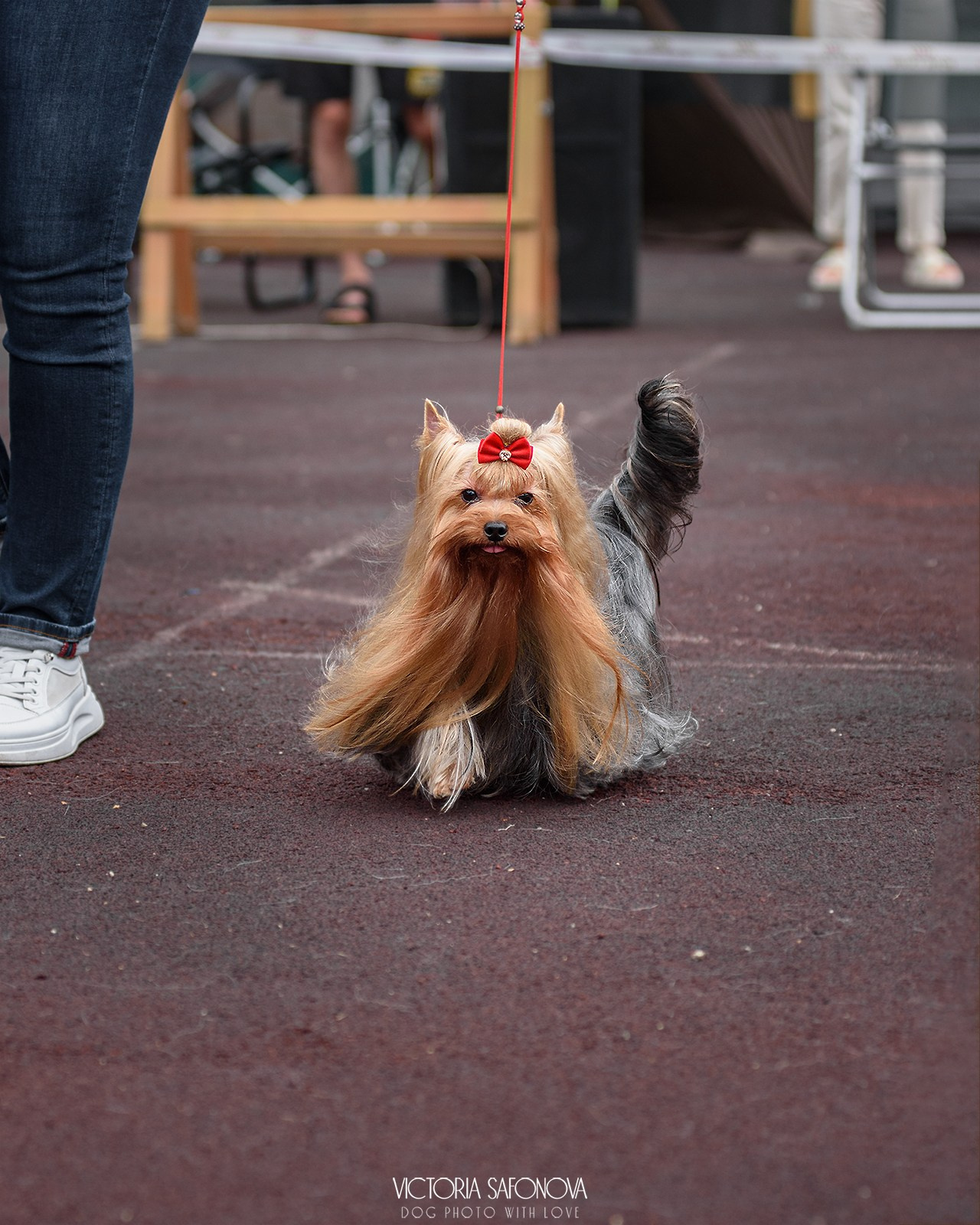 10 августа 2024. Благовещенск. Фотограф анималист Благовещенск. Сафонова Виктория
