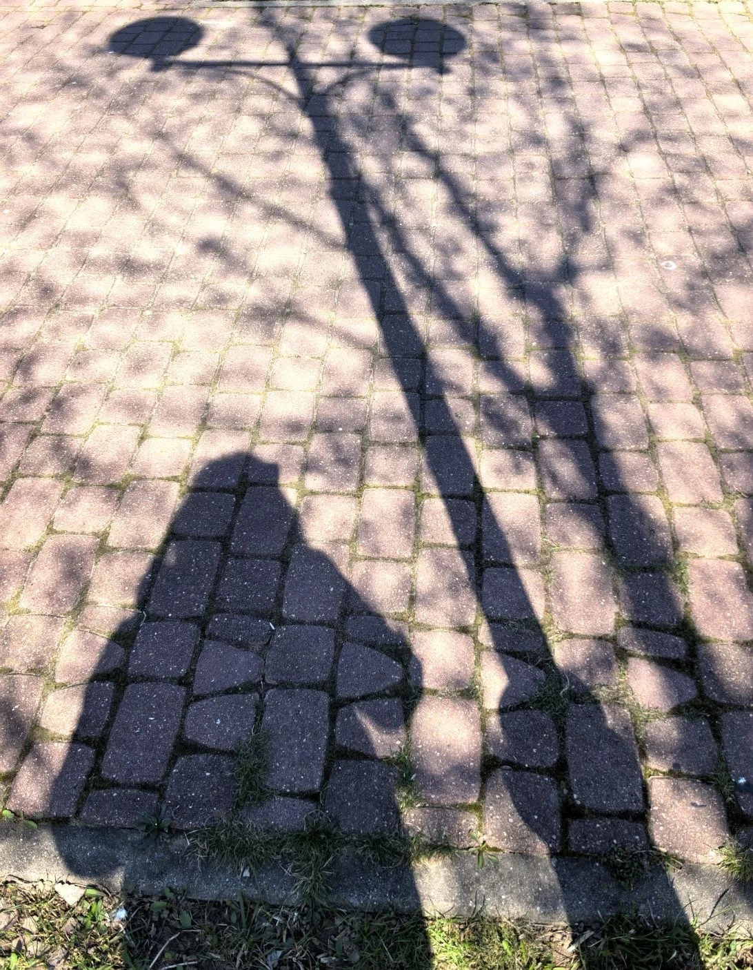 АНЯ