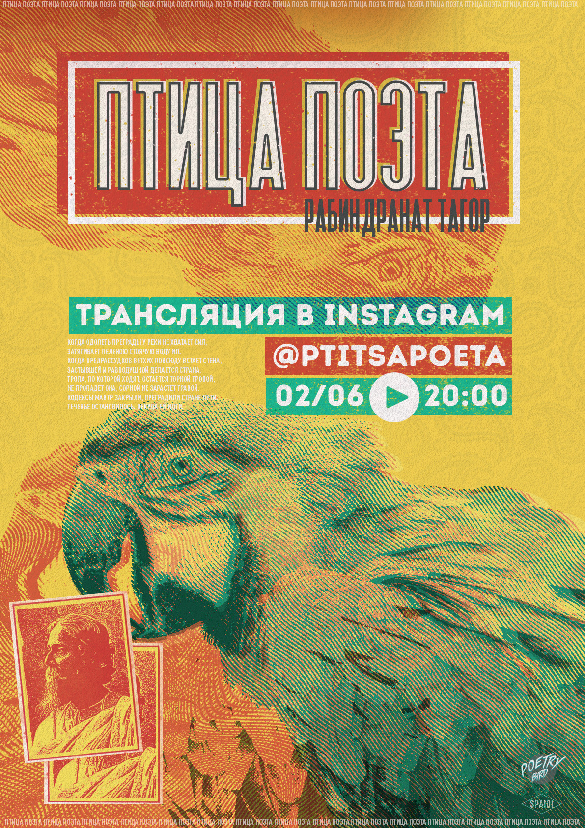 ПТИЦА ПОЭТА. Spaidi Design | Graphic Design