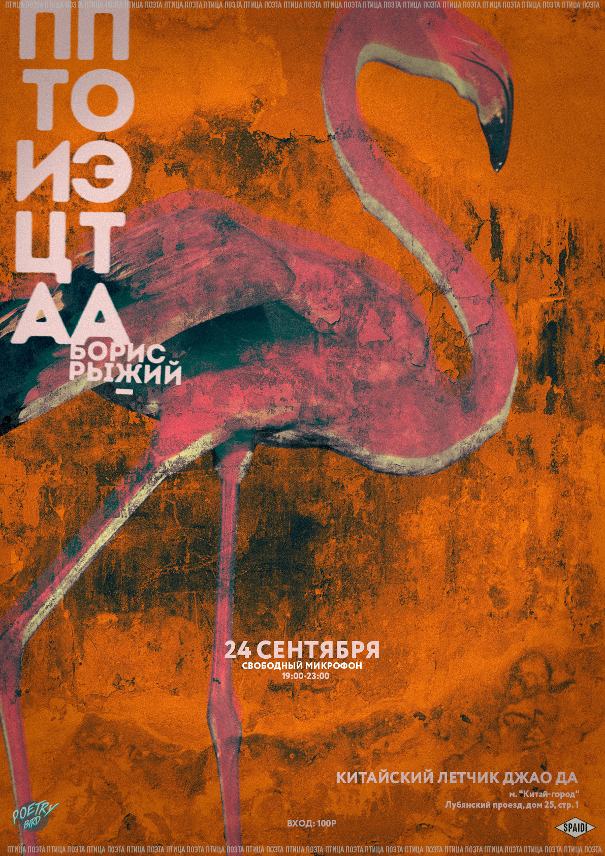 ПТИЦА ПОЭТА. Spaidi Design | Graphic Design