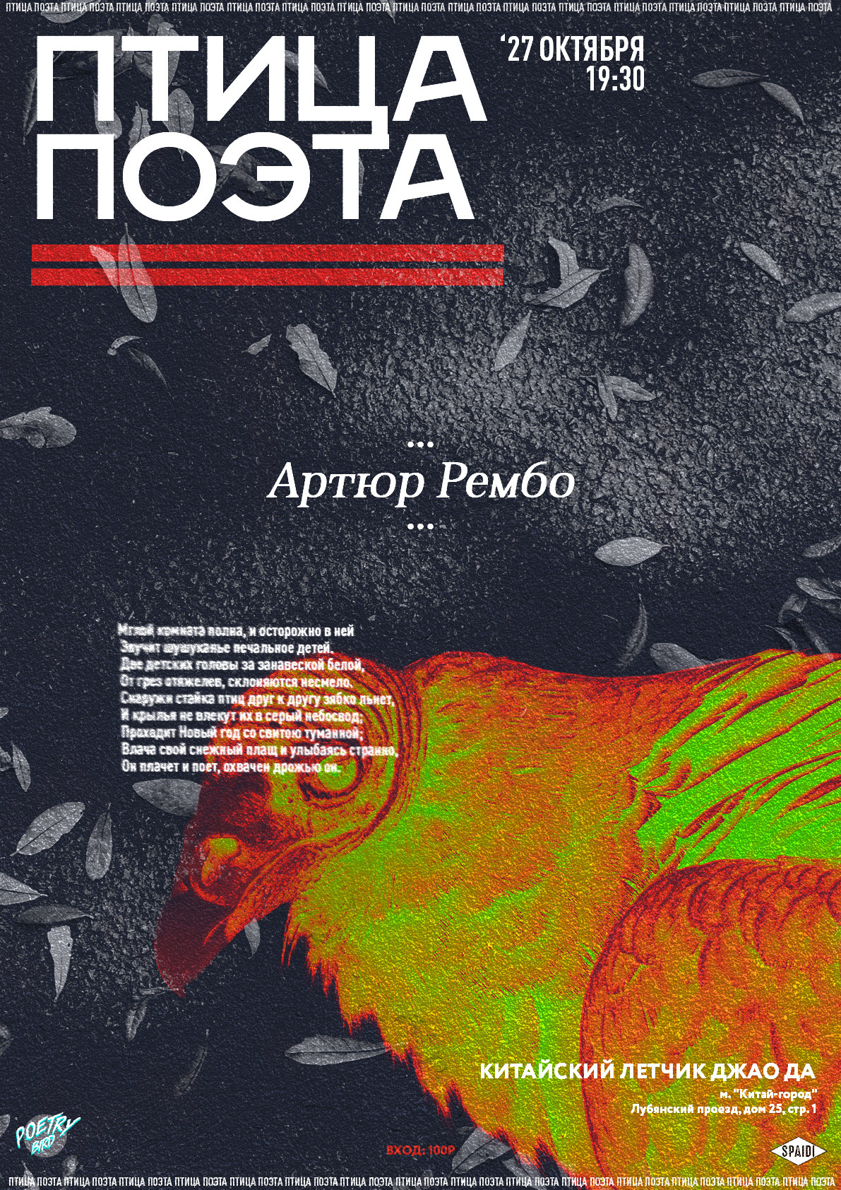 ПТИЦА ПОЭТА. Spaidi Design | Graphic Design