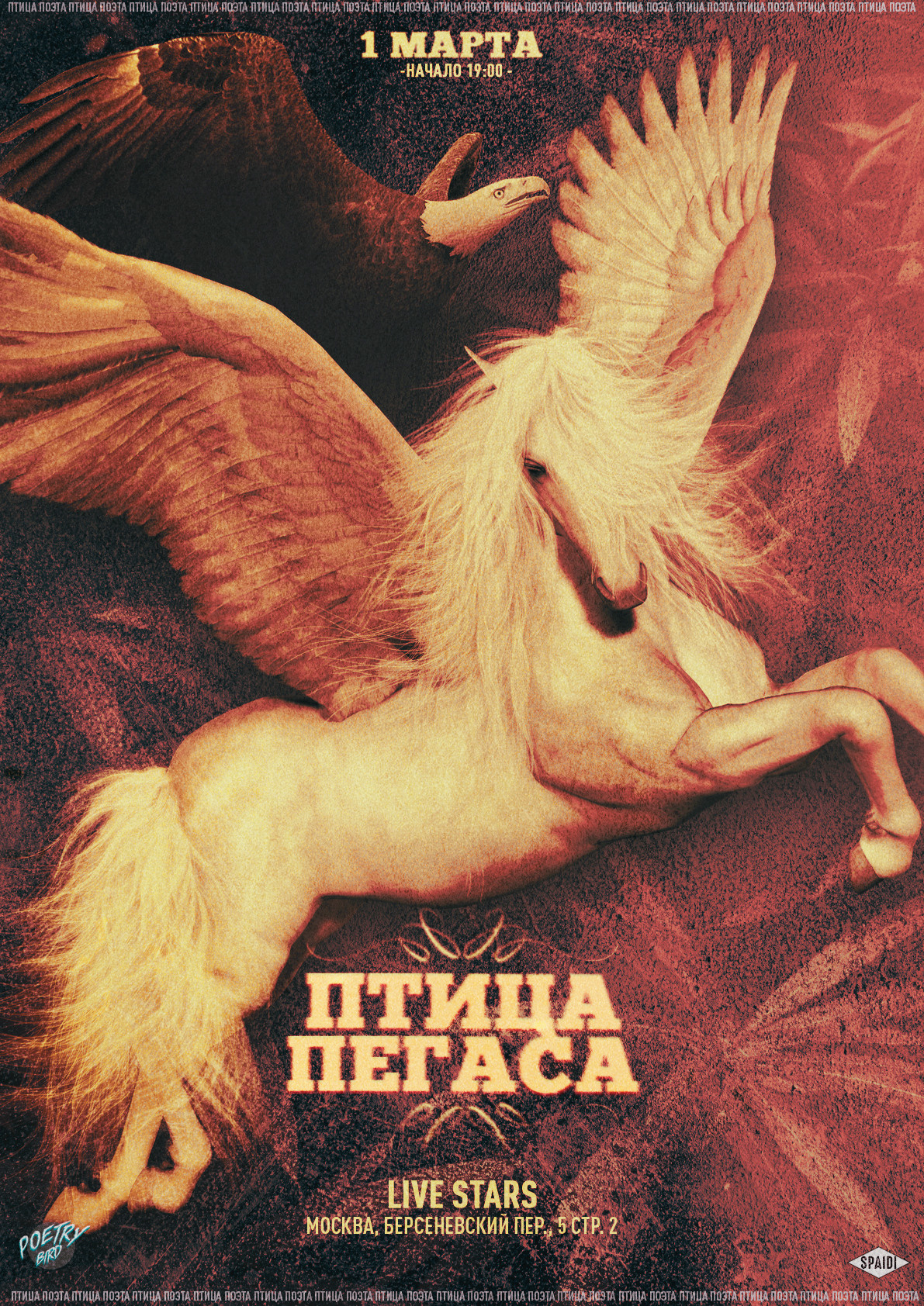 ПТИЦА ПОЭТА. Spaidi Design | Graphic Design