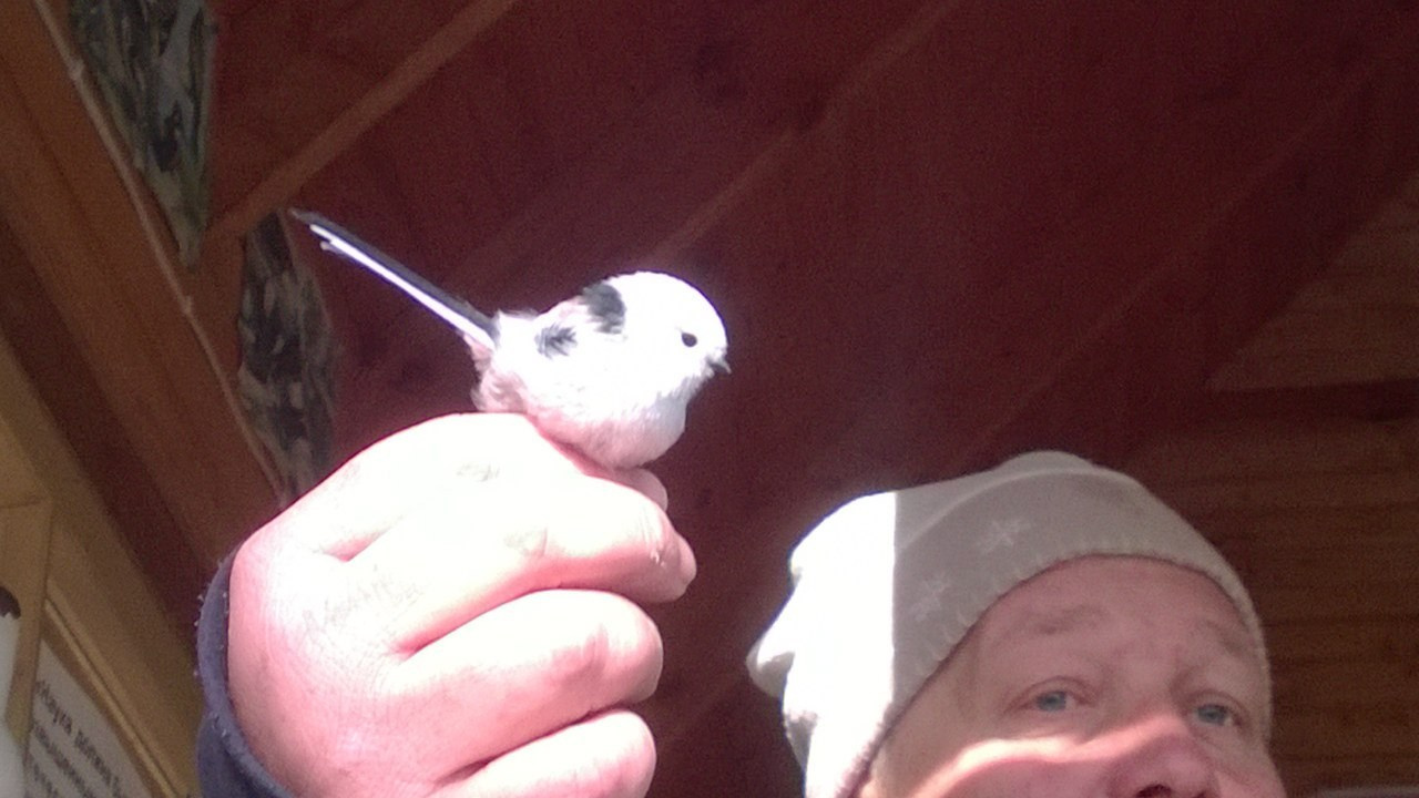 Калининград | 24-26.10.2014. Галерея Фантим