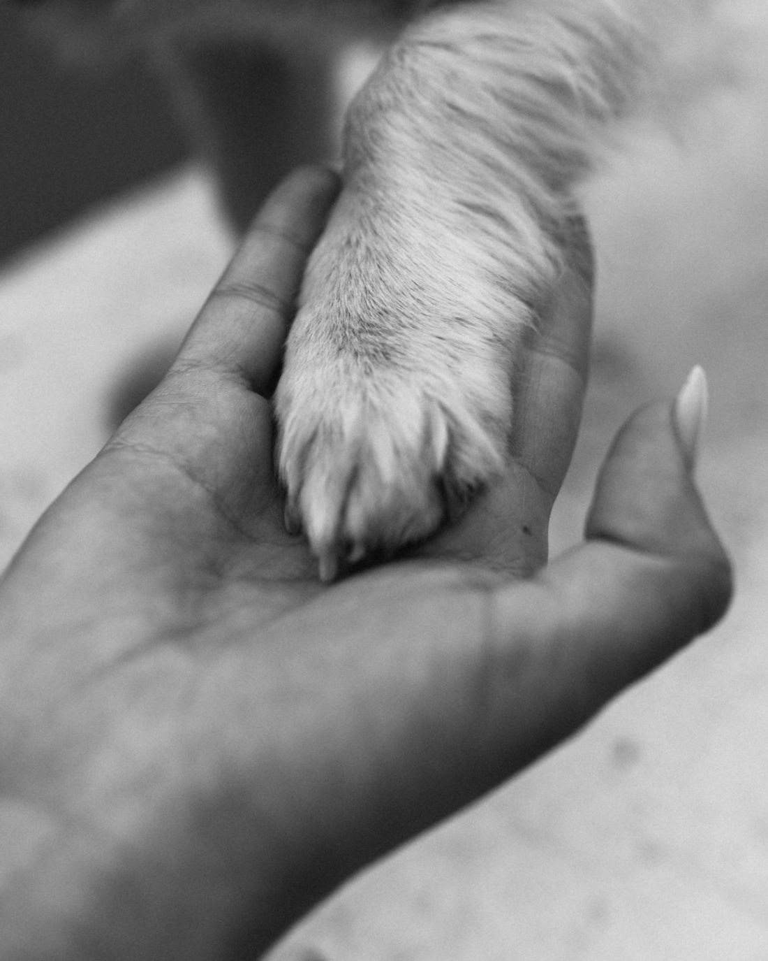 Настя и Мишка