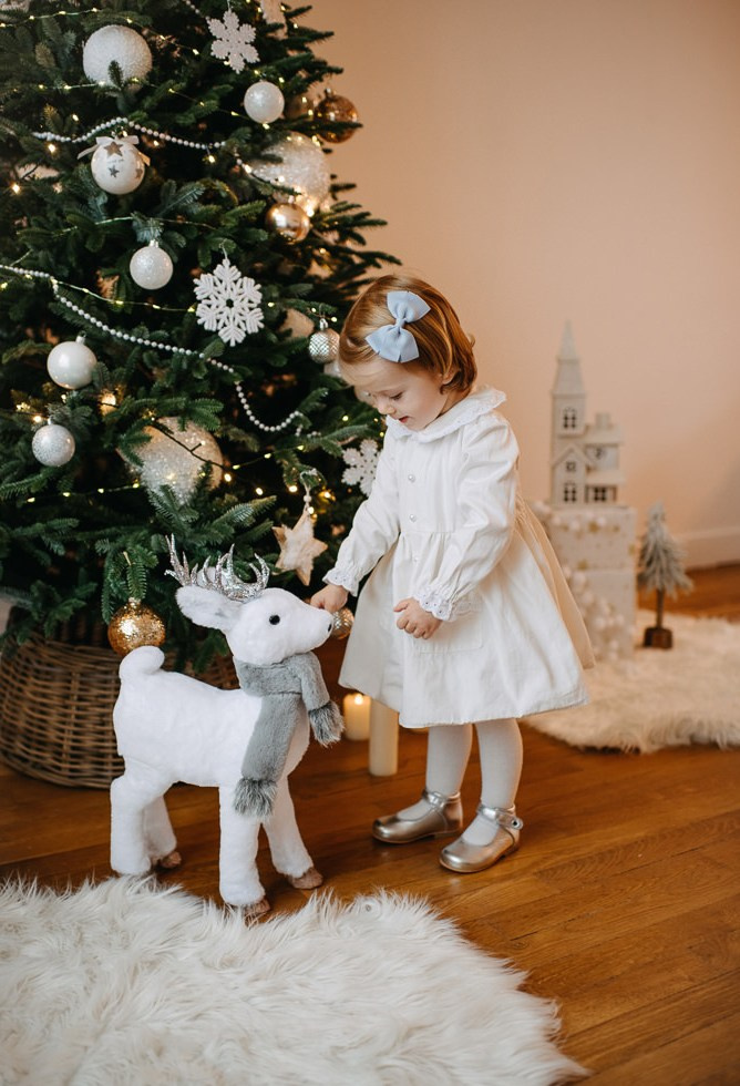 Новогодняя фотосессия. Фотосессия в студии в Москве от профессионального фотографа услуги по доступным ценам
