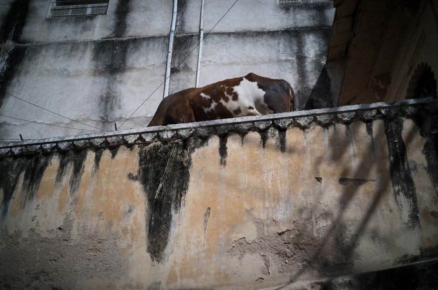 уличная фотография с неожиданными визуальными совпадениями и ритмами