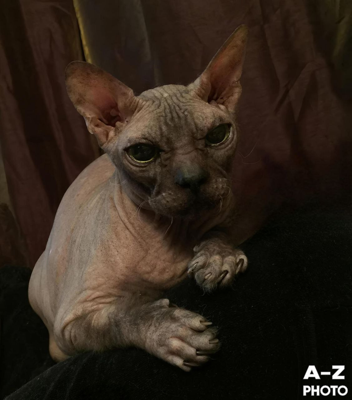 #ФОТОНЕДЕЛИ 13.04.2026. Женский семейный фотограф Тула Москва Захарова Анна