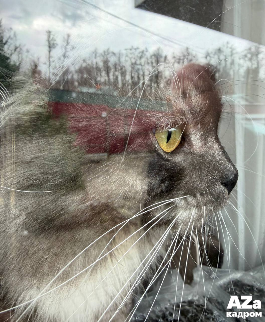 AZакадром «Отражения». Женский семейный фотограф Тула Москва Захарова Анна