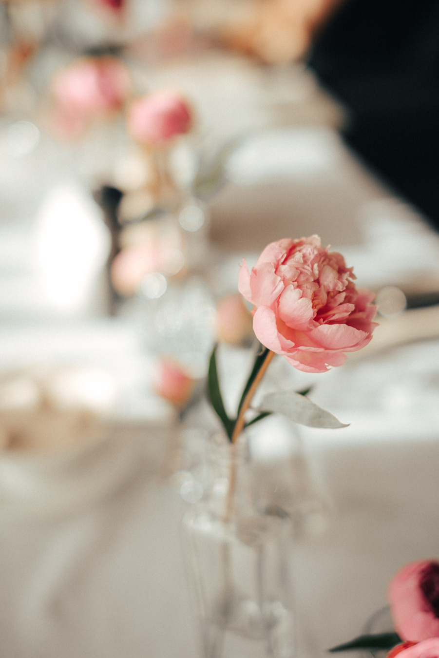 Фотосъёмка детского дня рождения