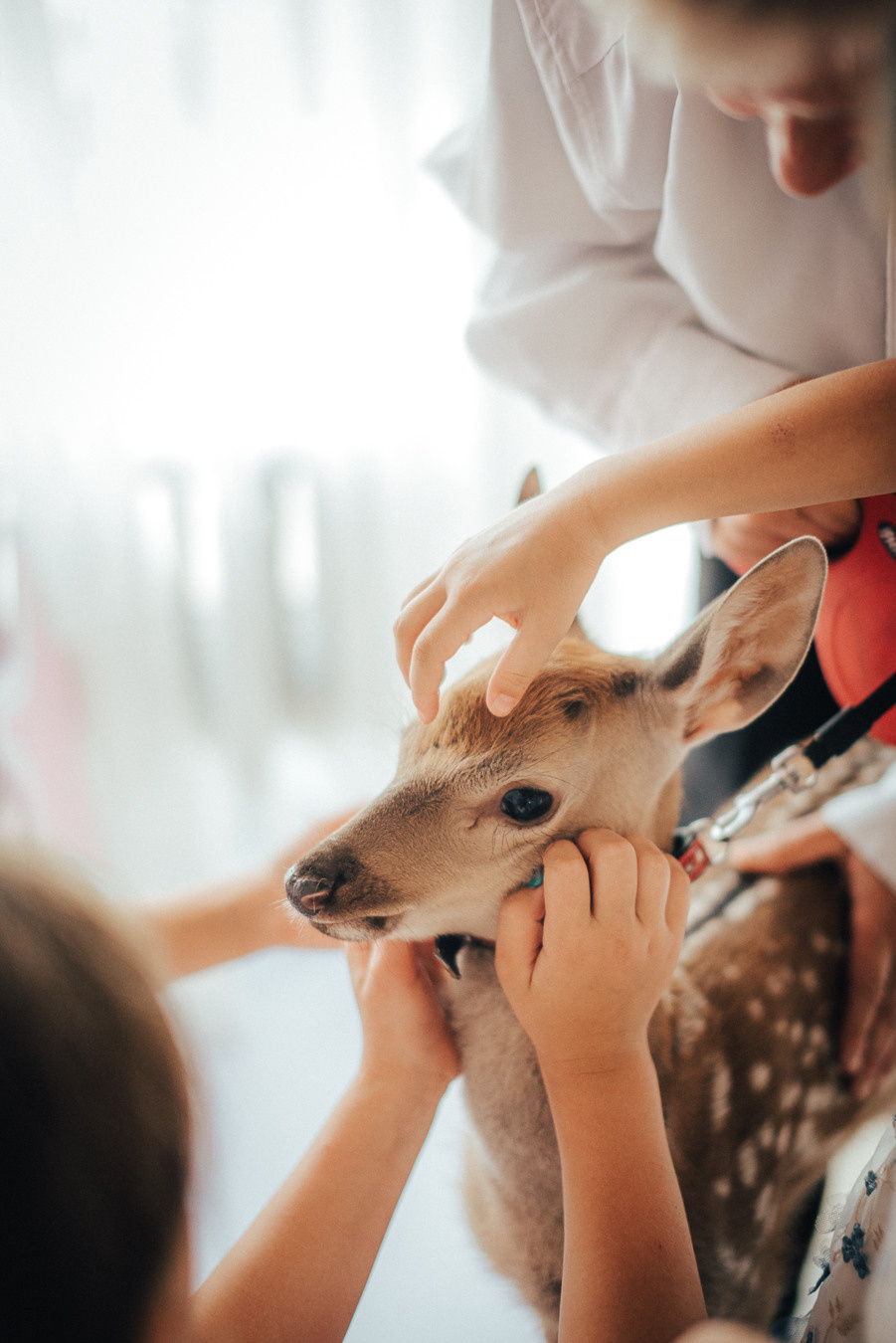 Фотосъёмка детского дня рождения