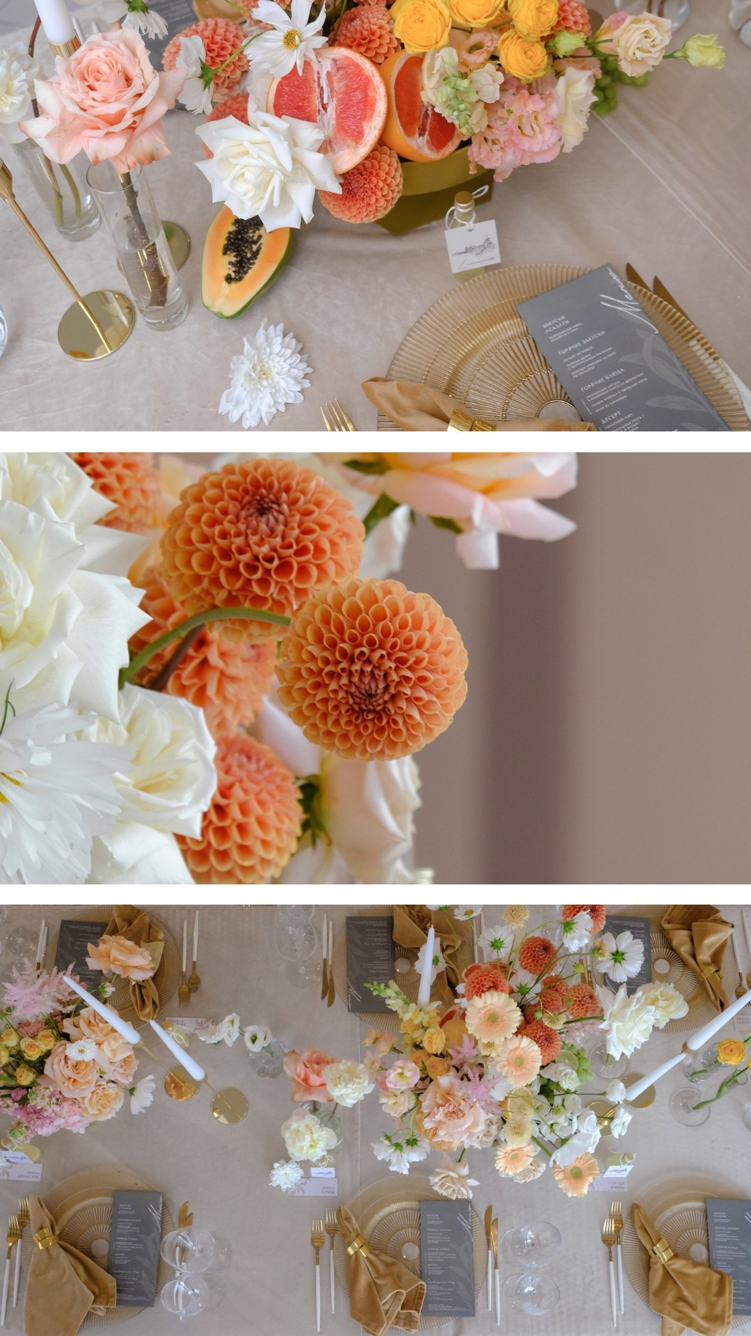 Жан Реми / MariDim. Основное