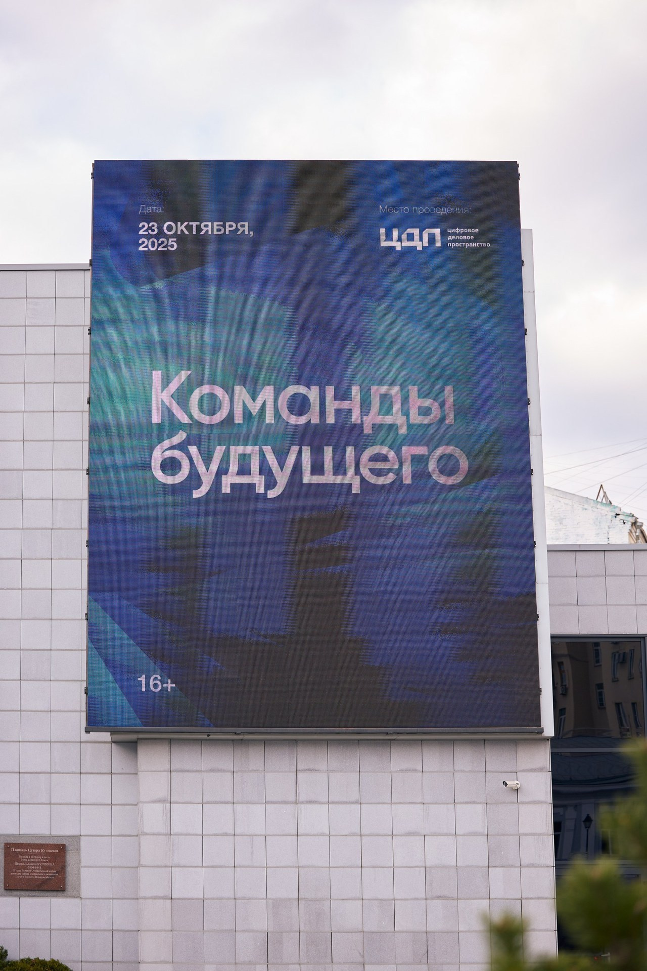 Отзывы. Фотограф Москва, Дима Пеллер