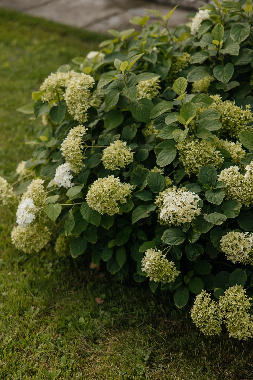Inspiration for love. Свадебный фотограф Москва