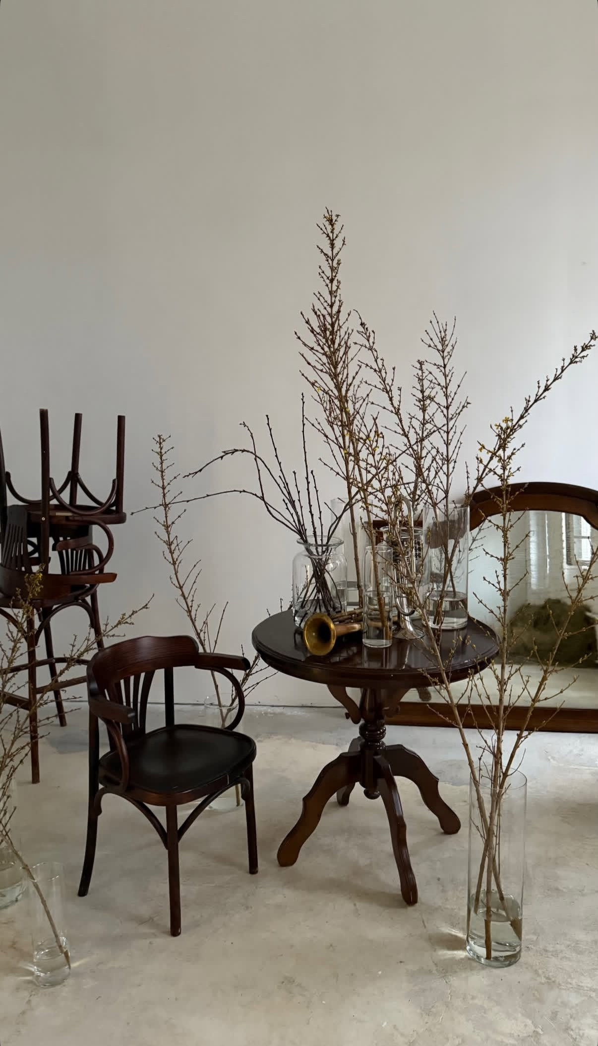 Фотостудия МОХ зал Свет. Фотограф Настя Лев